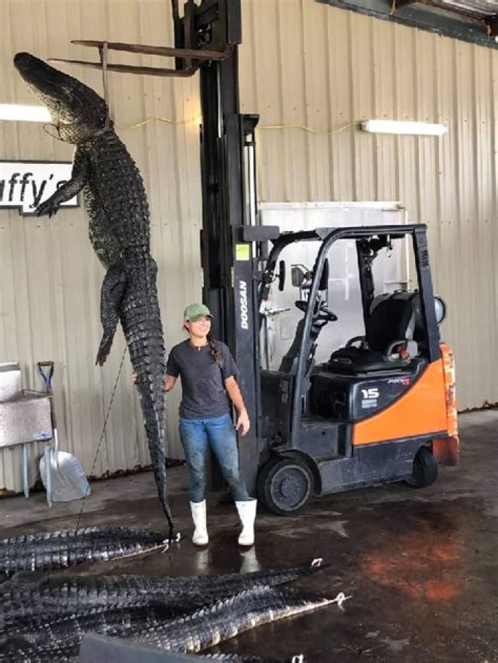 Halfcabking Height, Weight, Net Worth, Age, Birthday, Wikipedia, Who, Instagram, Biography