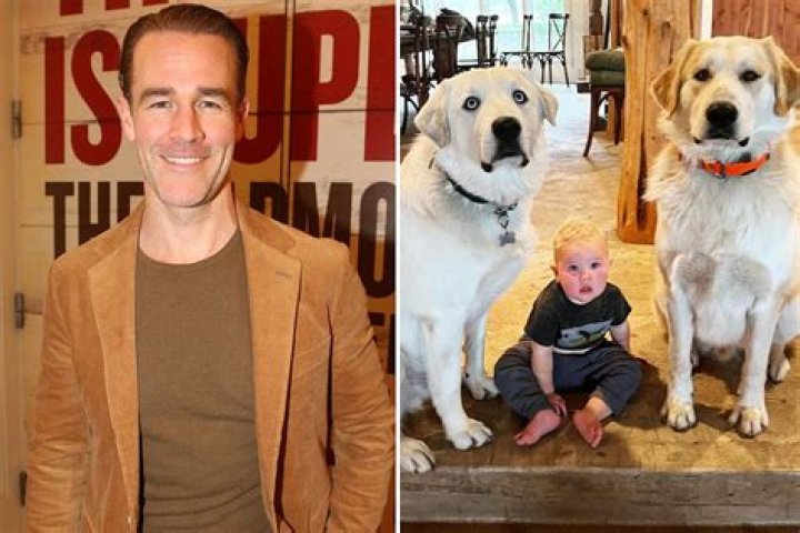 
James Van Der Beek Shares Photo of Son Jeremiah, 13 Months, Sitting Between Family Dogs 