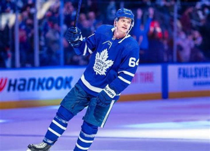 
NHL Center David Kampf Wife Eliska Stedronska Is A Crossfit Athlete 