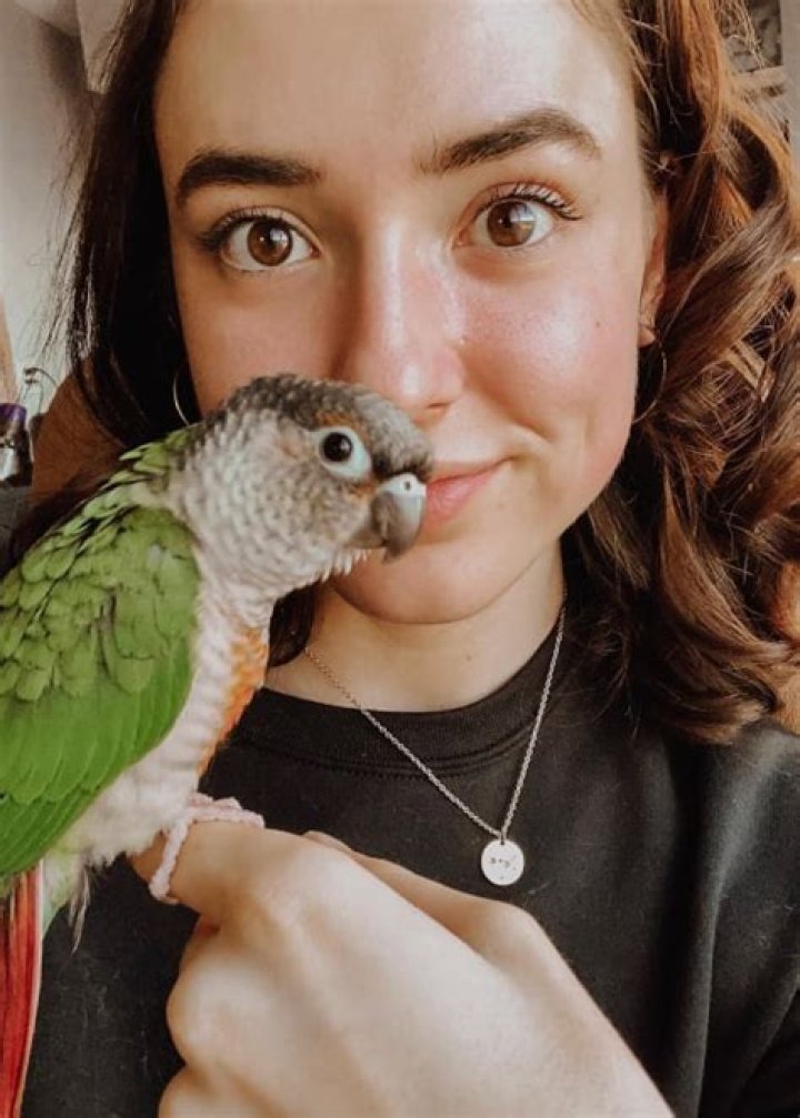 
Samantha Fekete Height, Weight, Net Worth, Age, Birthday, Wikipedia, Who, Nationality, Biography 