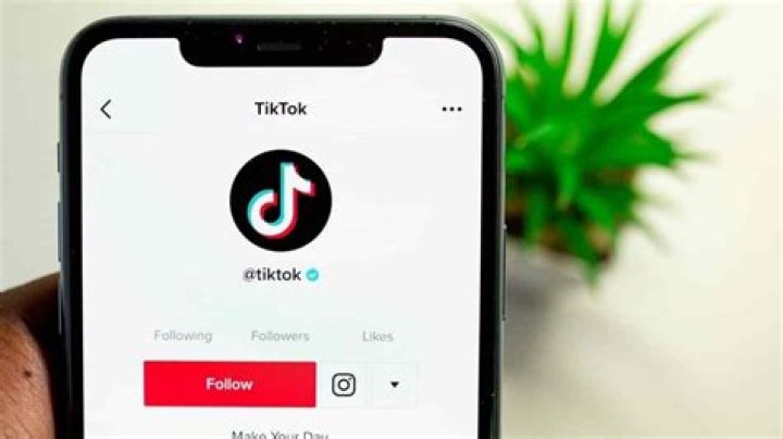 
Who Is Zander Hayes On TikTok? Death Cause And Instagram Tribute 